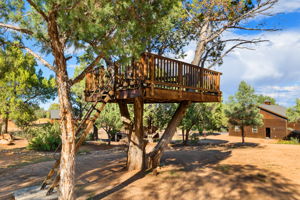 Tree Deck