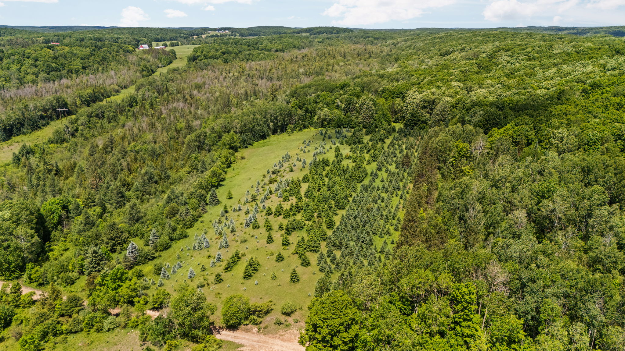  Photo 83