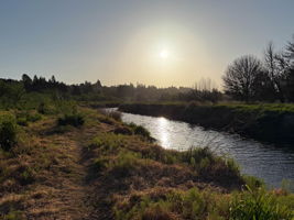  Photo 82