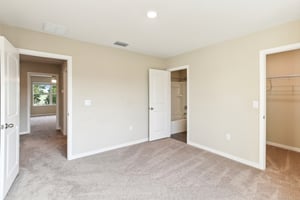 Cay Spruce Wy-034.jpg