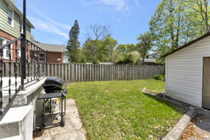  Photo 41