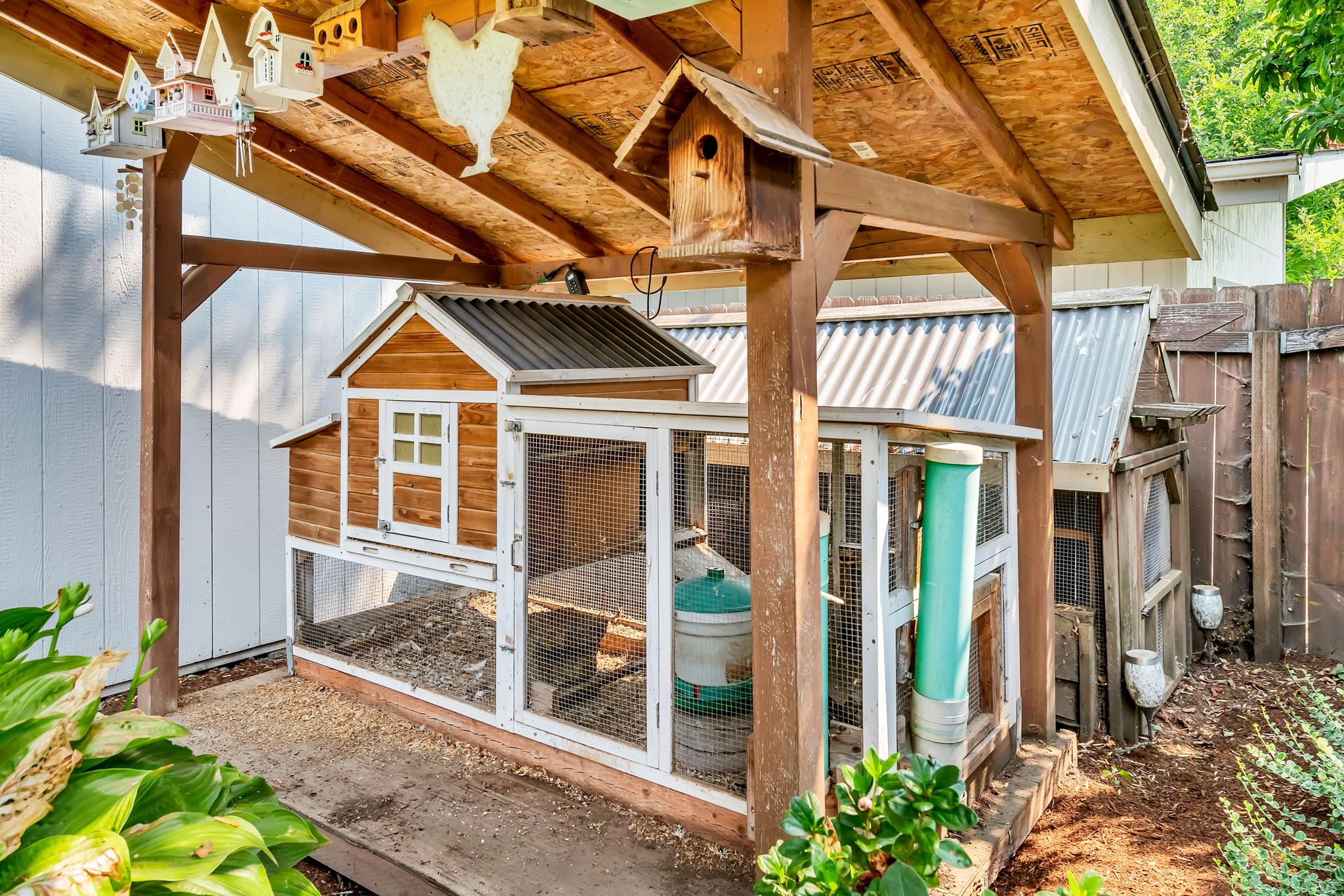  Photo 67