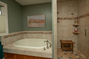 20-Primary Bathroom