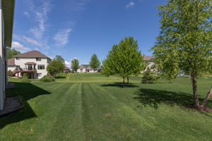 50-Back View