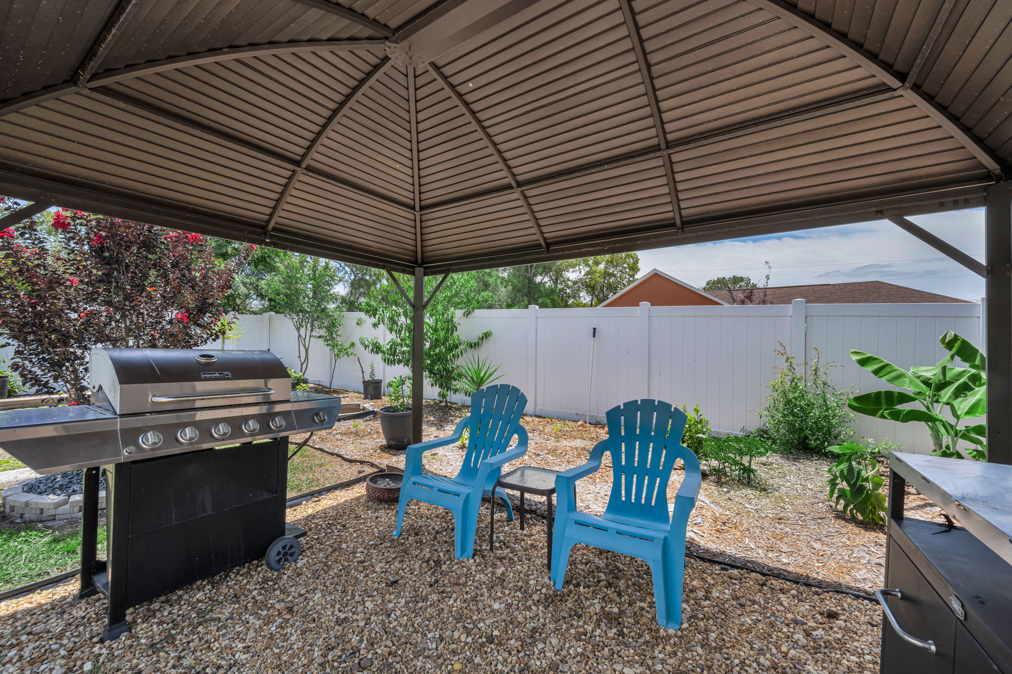 Backyard 4