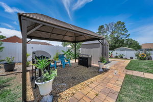Backyard 3
