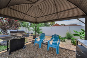 Backyard 4