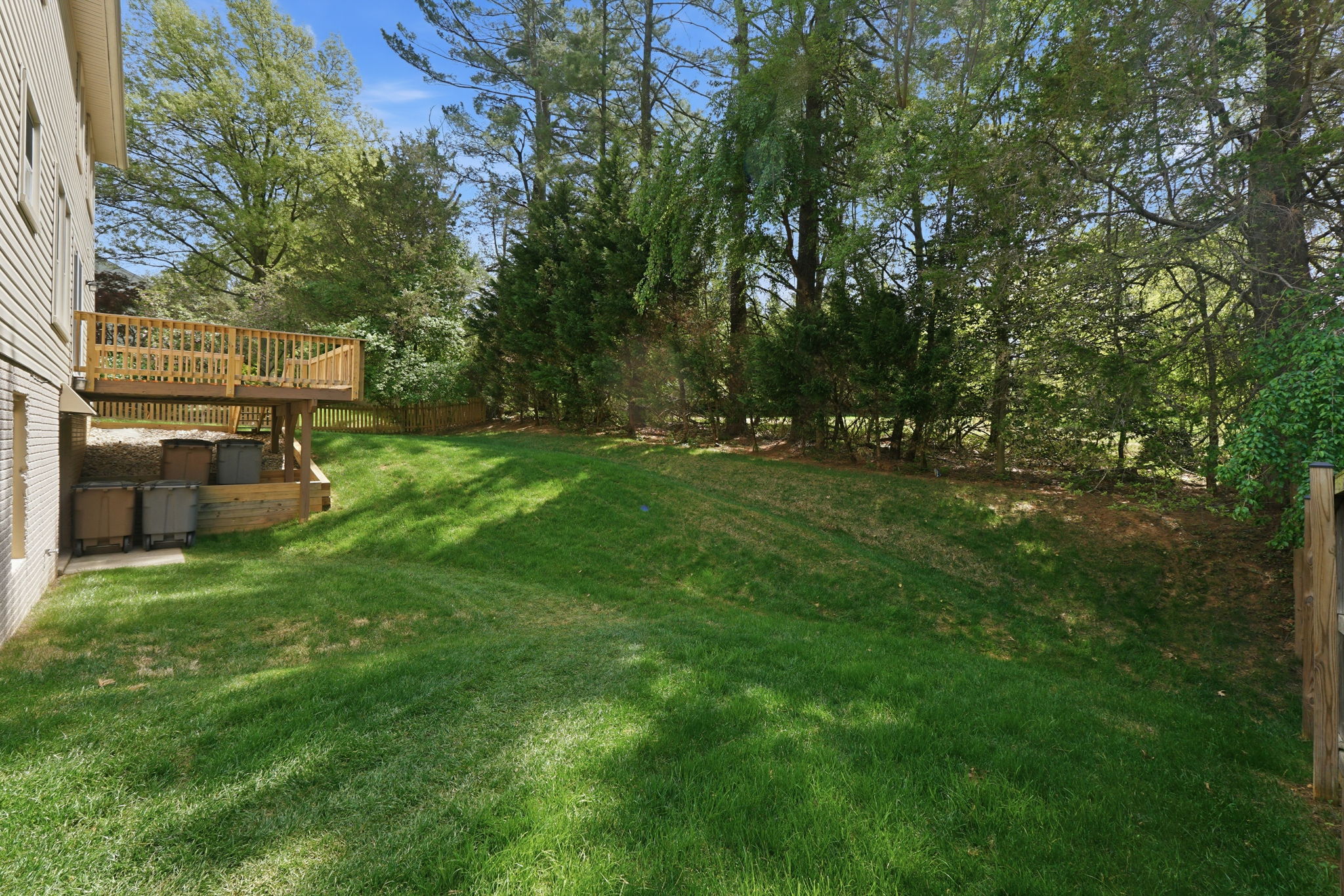 Rear Yard