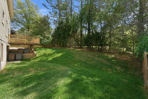 Rear Yard