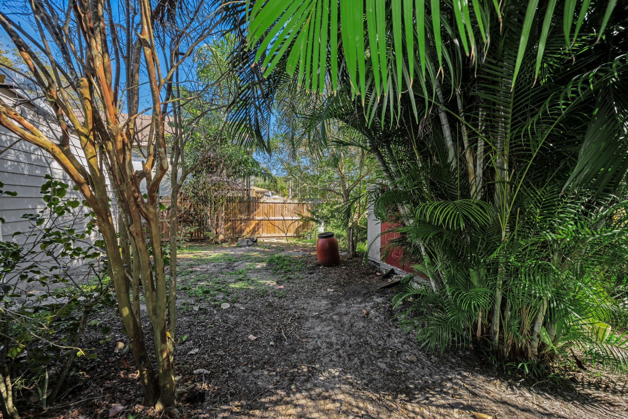 Backyard 1
