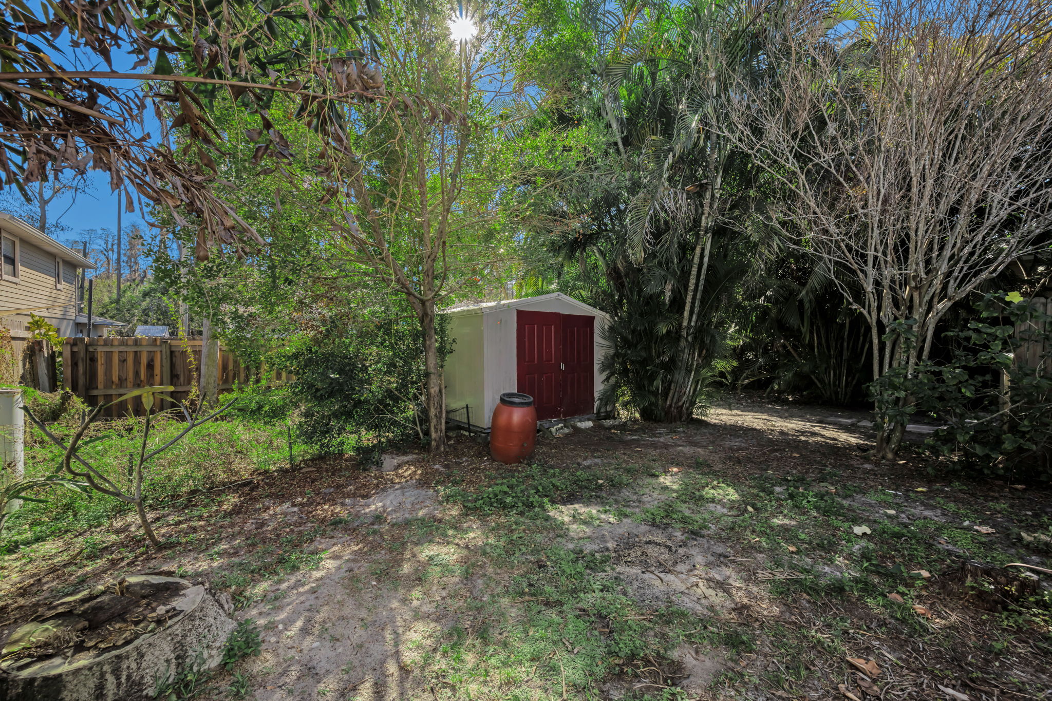 Backyard 2