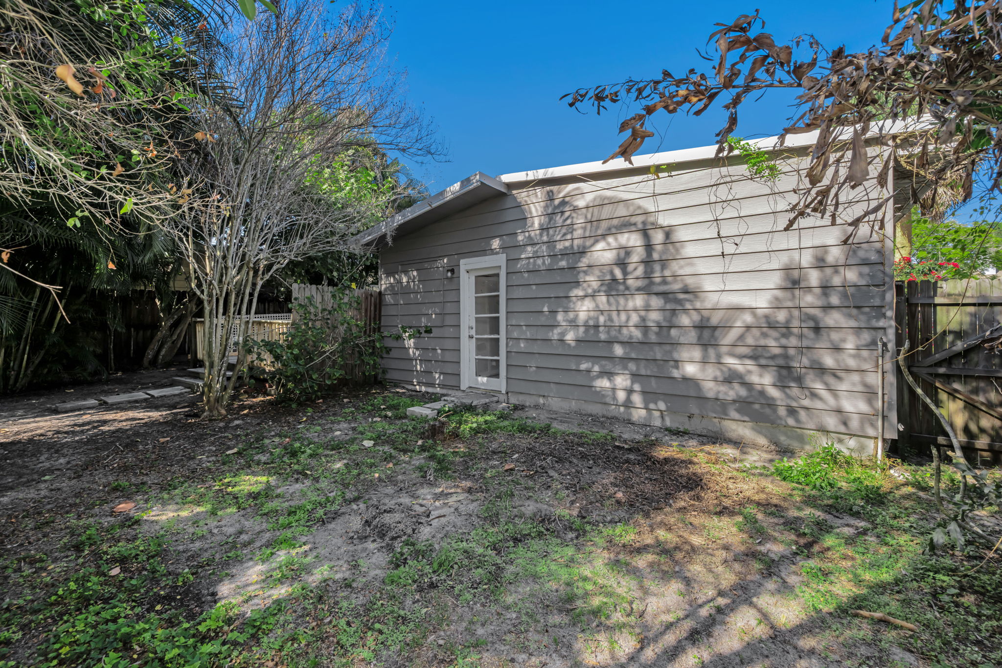 Backyard 3