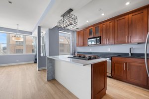 1122 N Oakley Blvd, Chicago, IL 60622, USA Photo 18