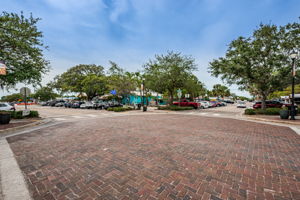 Downtown Palm Harbor2