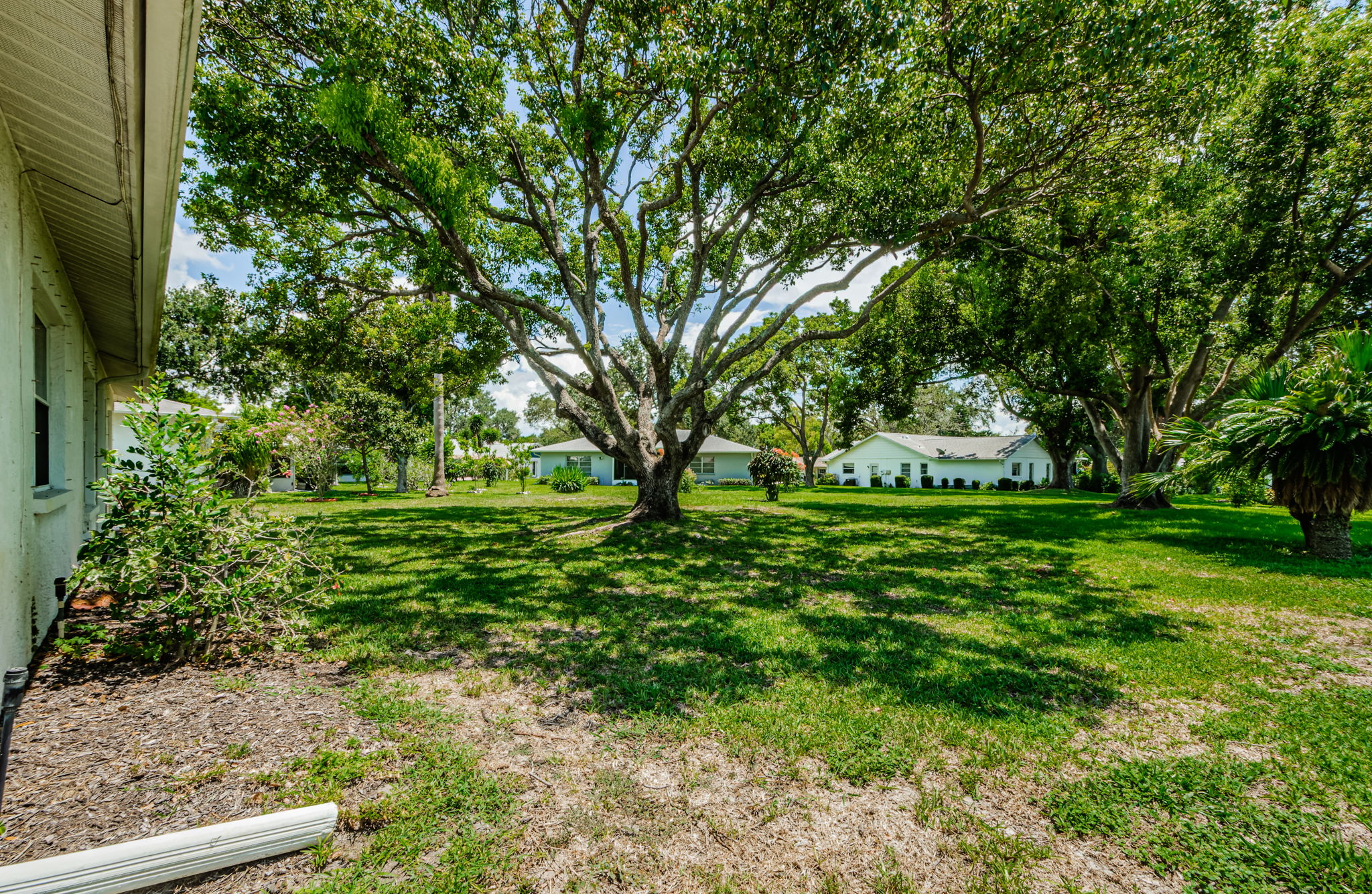 Backyard 1A-2