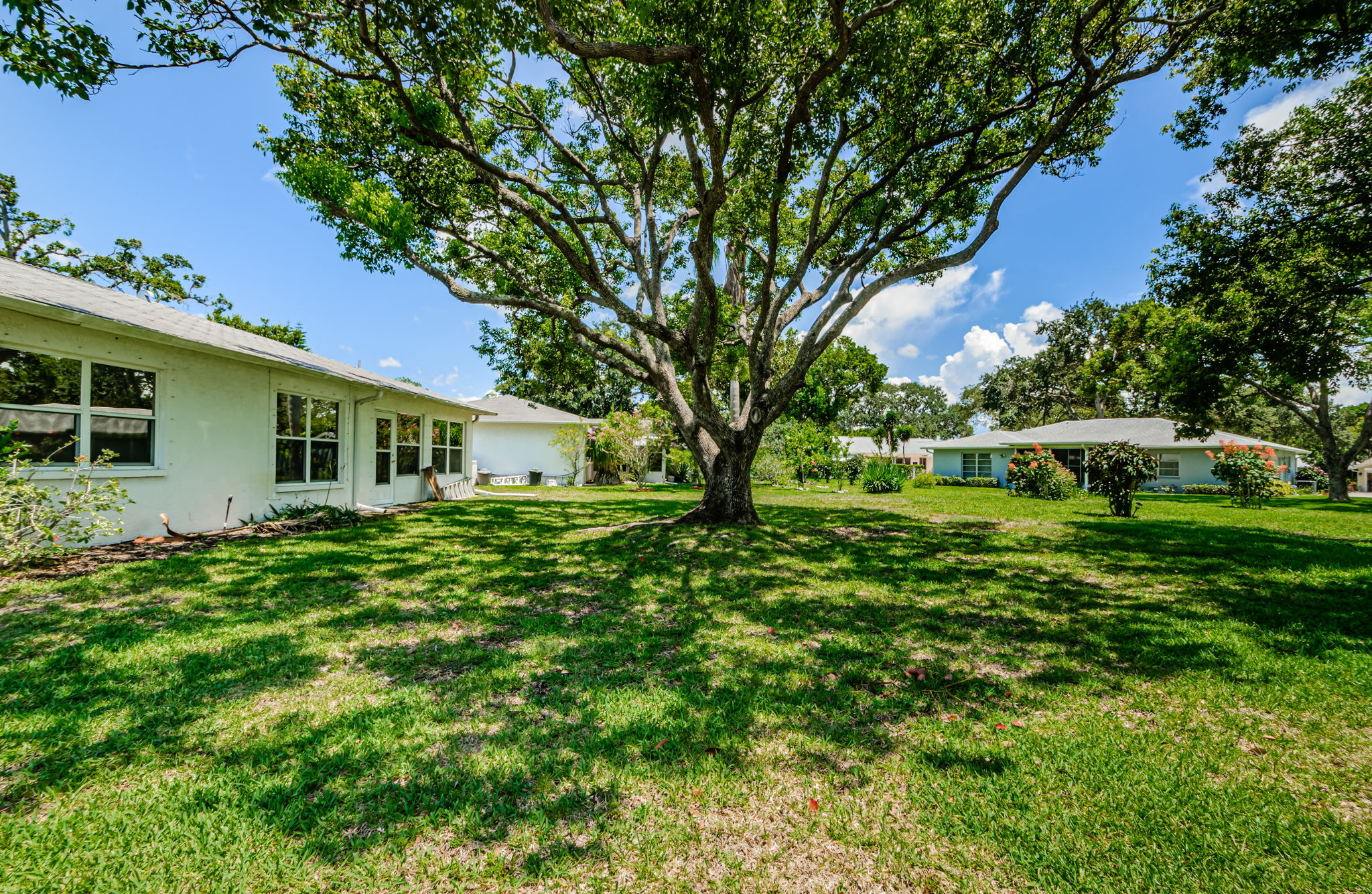 Backyard 1B-2