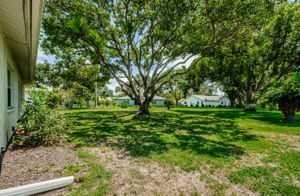 Backyard 1A-2