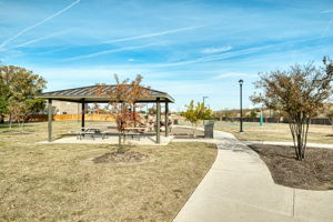 Community Park