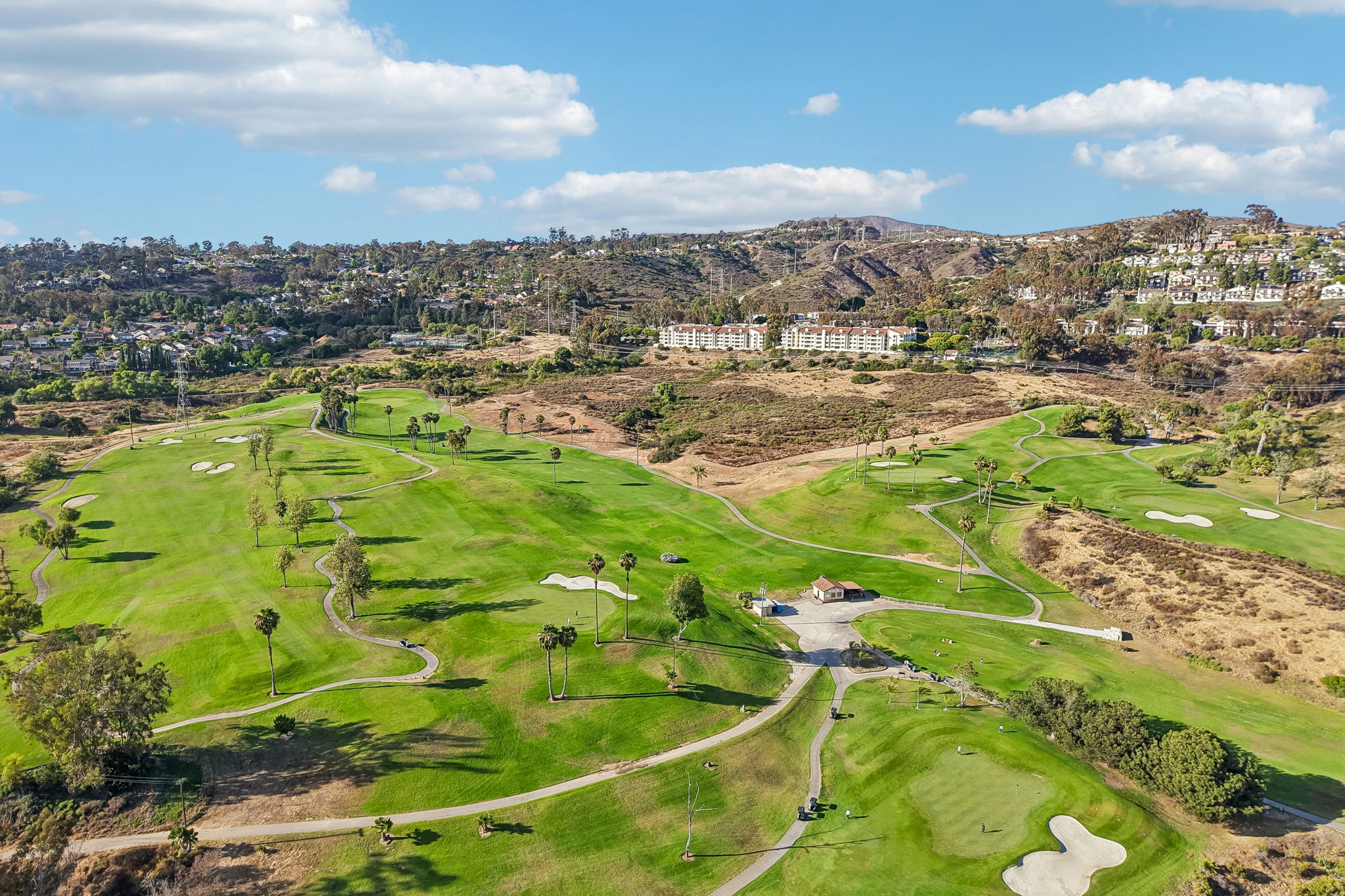 11233 Tierrasanta Blvd-d-011