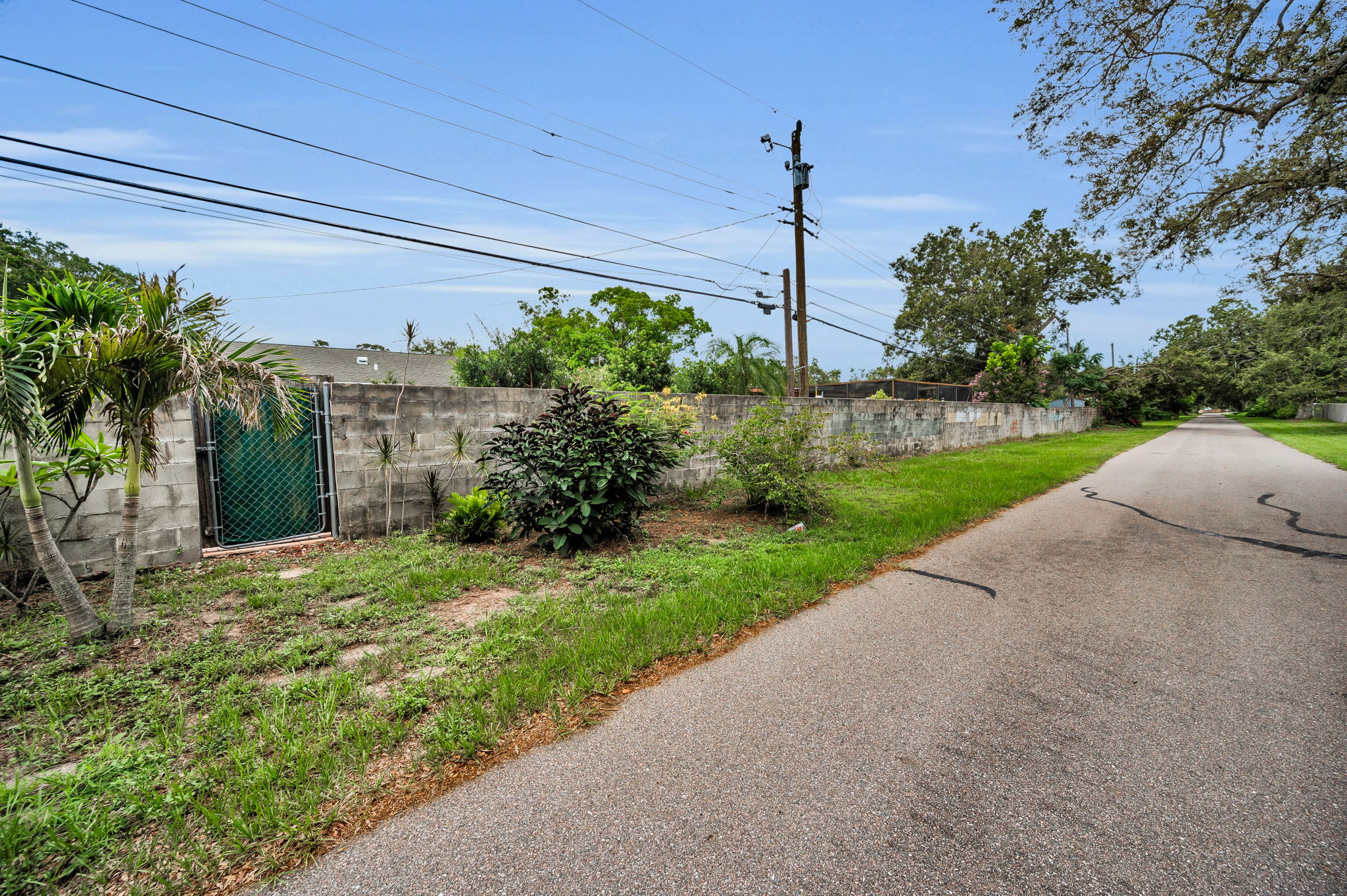 Pinellas Trail1