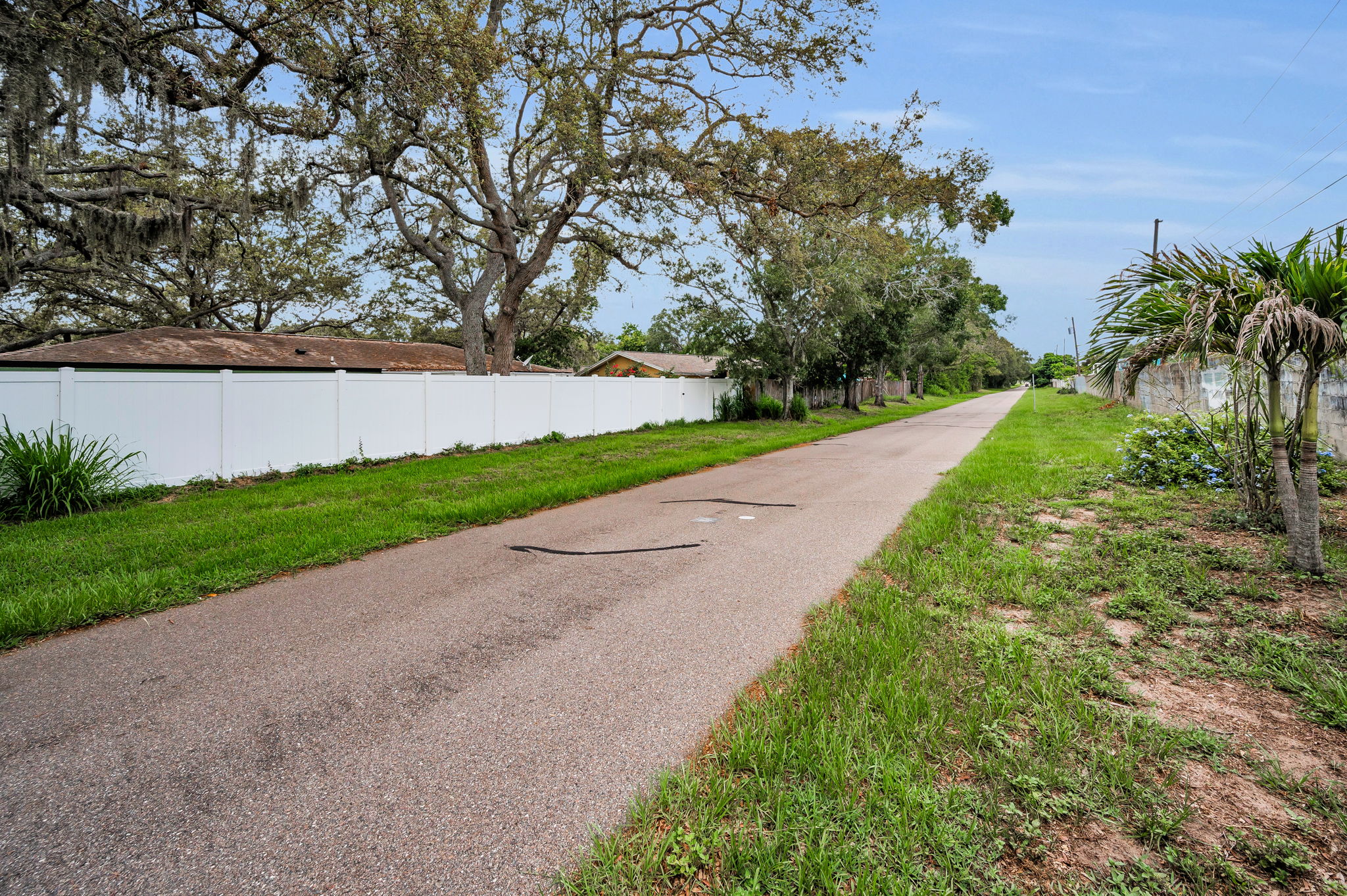 Pinellas Trail4