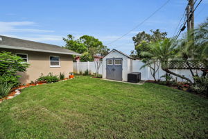 Backyard1