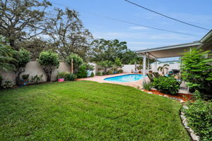 Backyard4