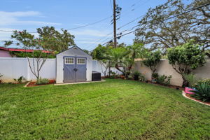 Backyard5