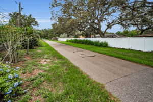 Pinellas Trail5