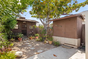 22-Back Yard