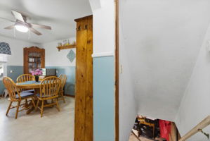  Photo 44