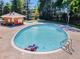  Photo 47