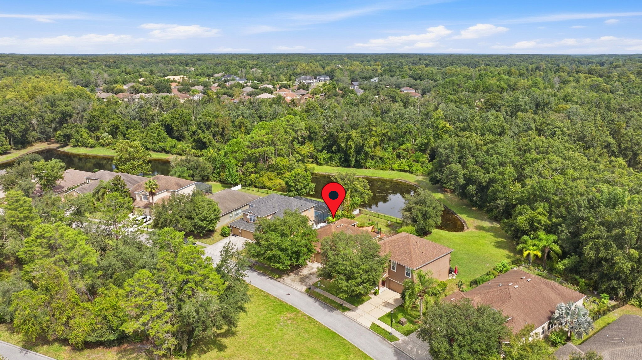 31 - 11241 Belle Haven Dr, New Port Richey, FL 34654