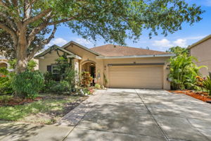 2 - 11241 Belle Haven Dr, New Port Richey, FL 34654