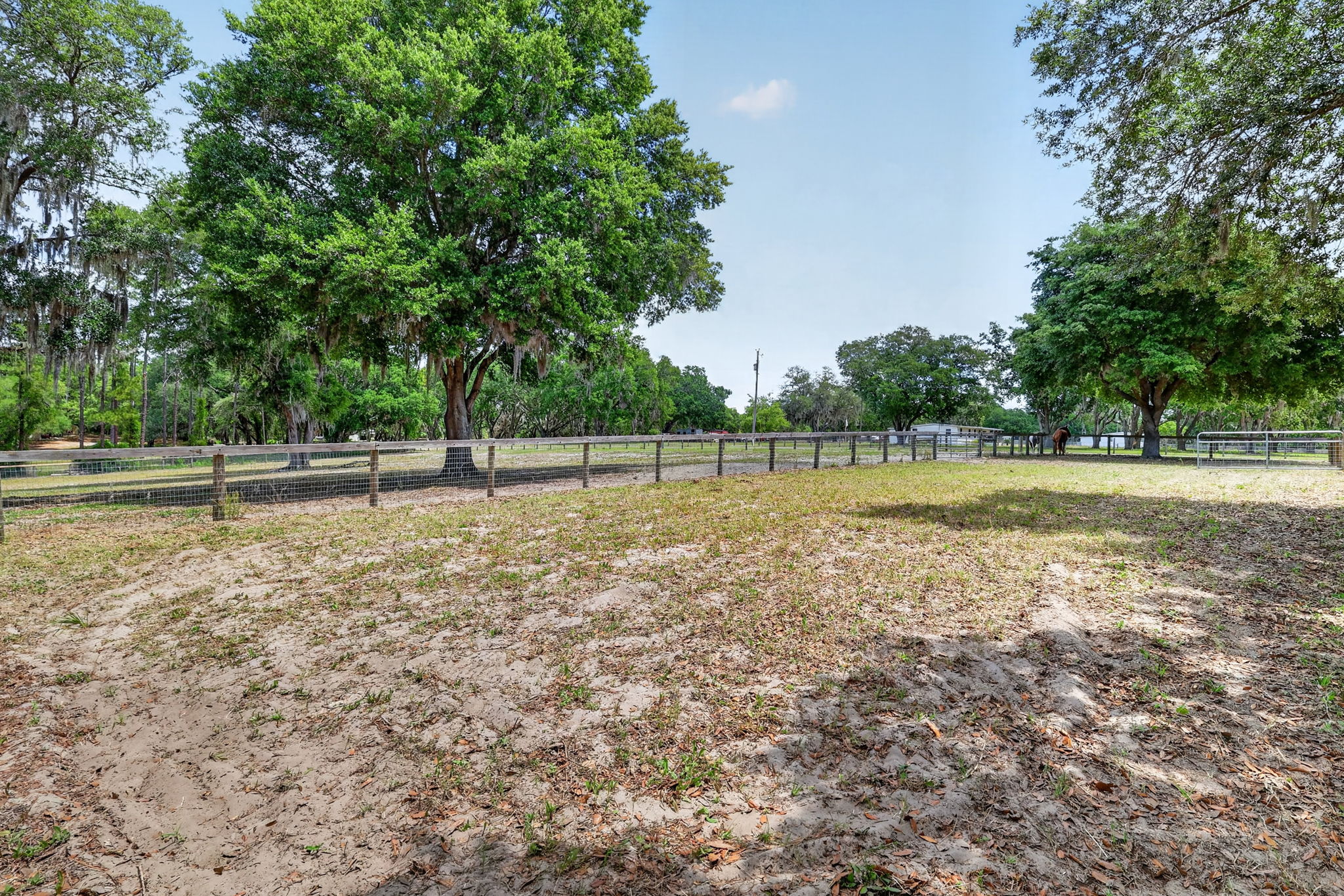 11241 Em En El Grove Rd -155