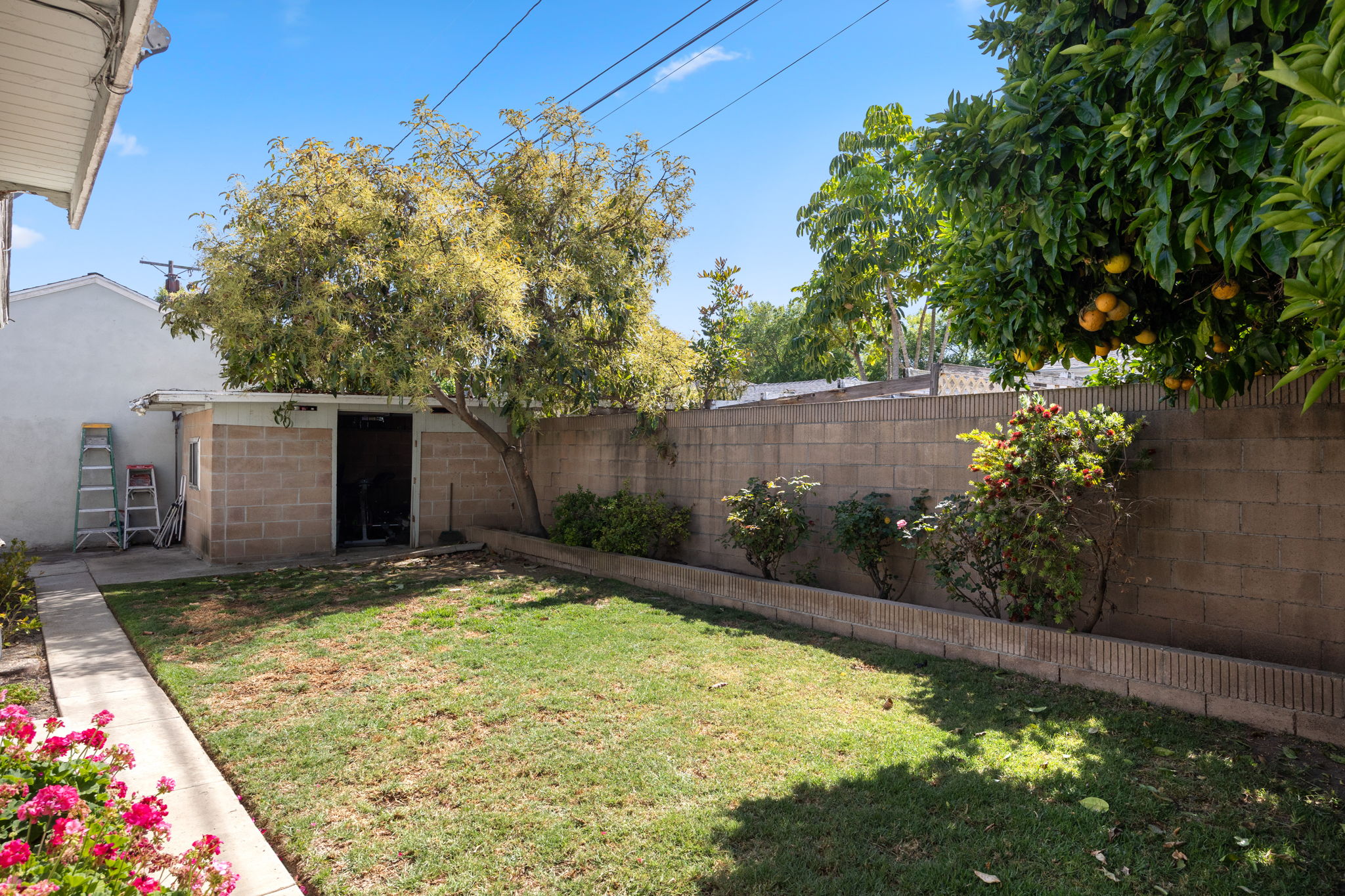 11245 Segrell Way-31