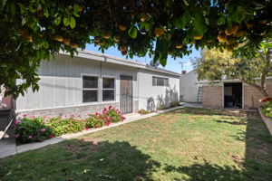 11245 Segrell Way-27