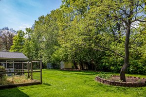 Flat backyard overlooking mature trees