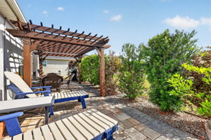 Paver Patio and Pergola with Privacy Landscaping
