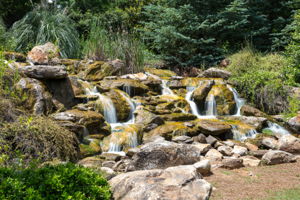 Photo 48
