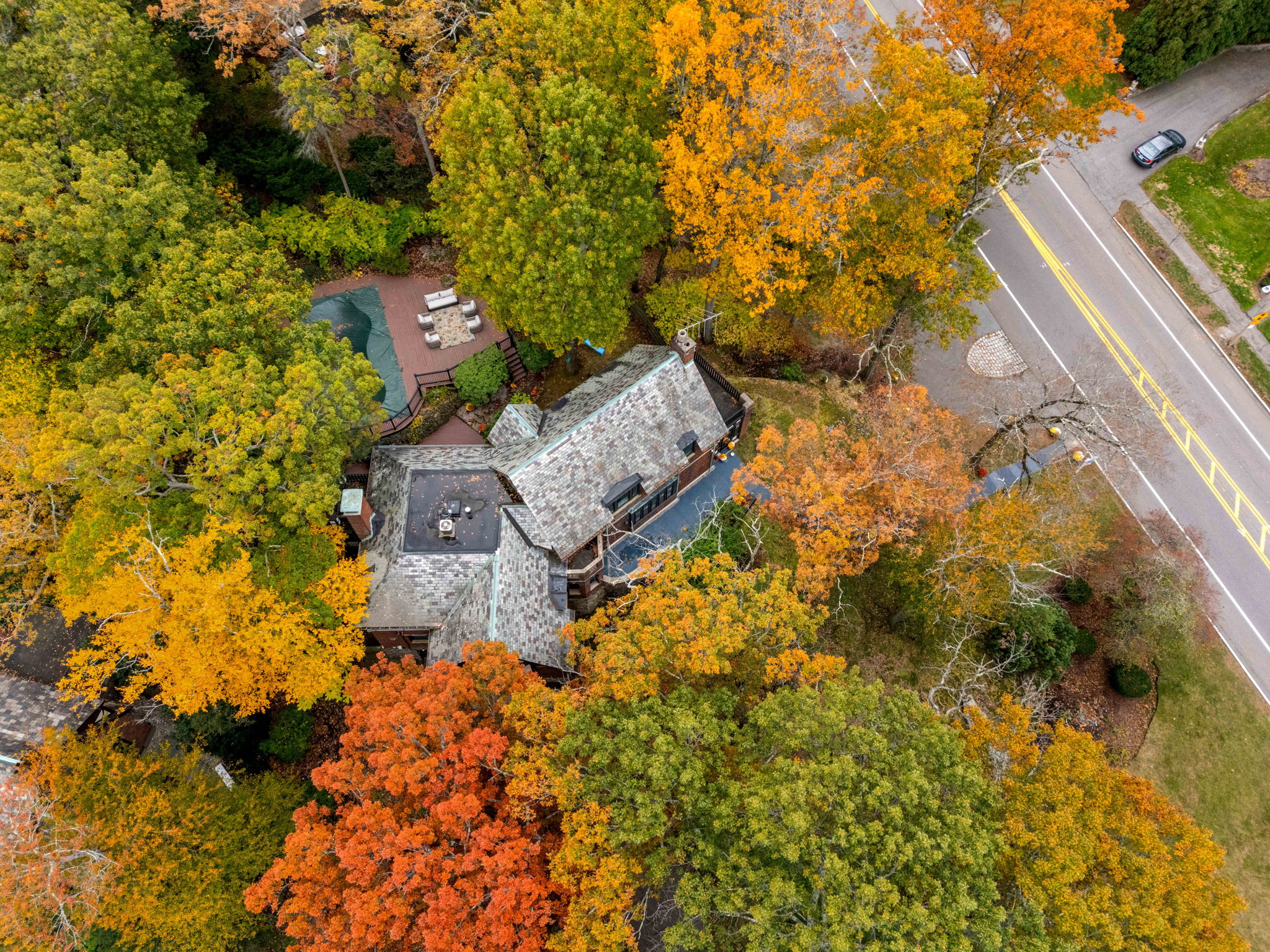 1125 W Roxbury Pkwy, Chestnut Hill, MA 02467, USA Photo 119