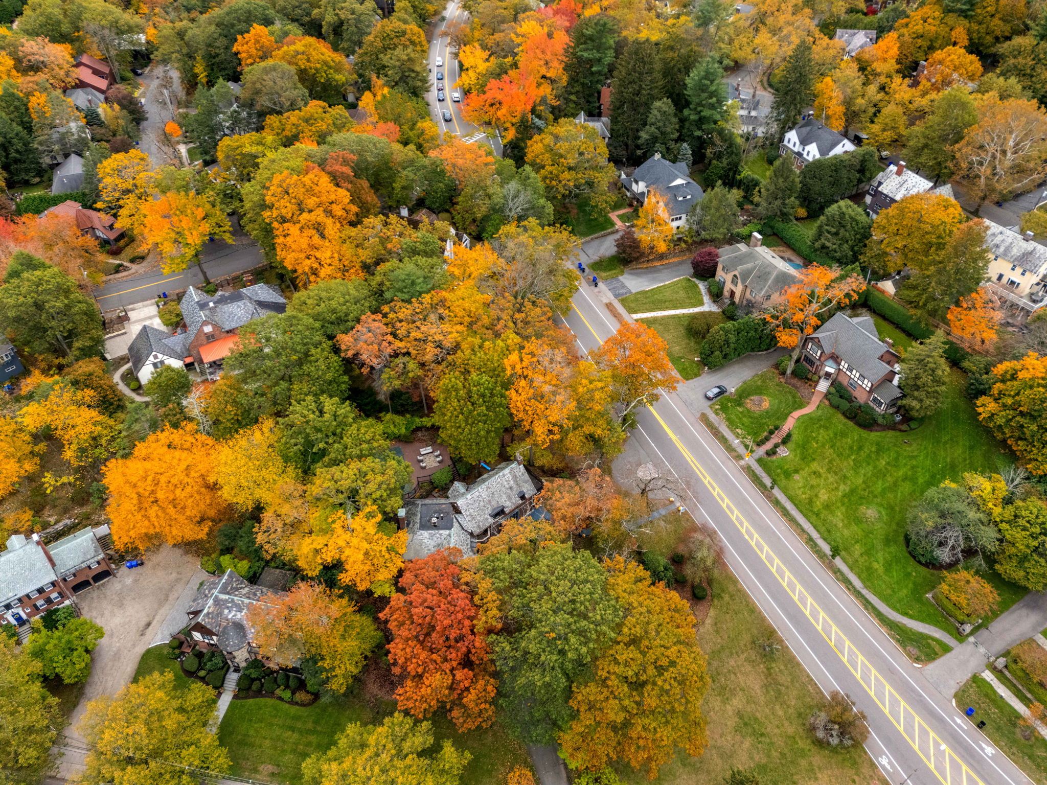 1125 W Roxbury Pkwy, Chestnut Hill, MA 02467, USA Photo 120