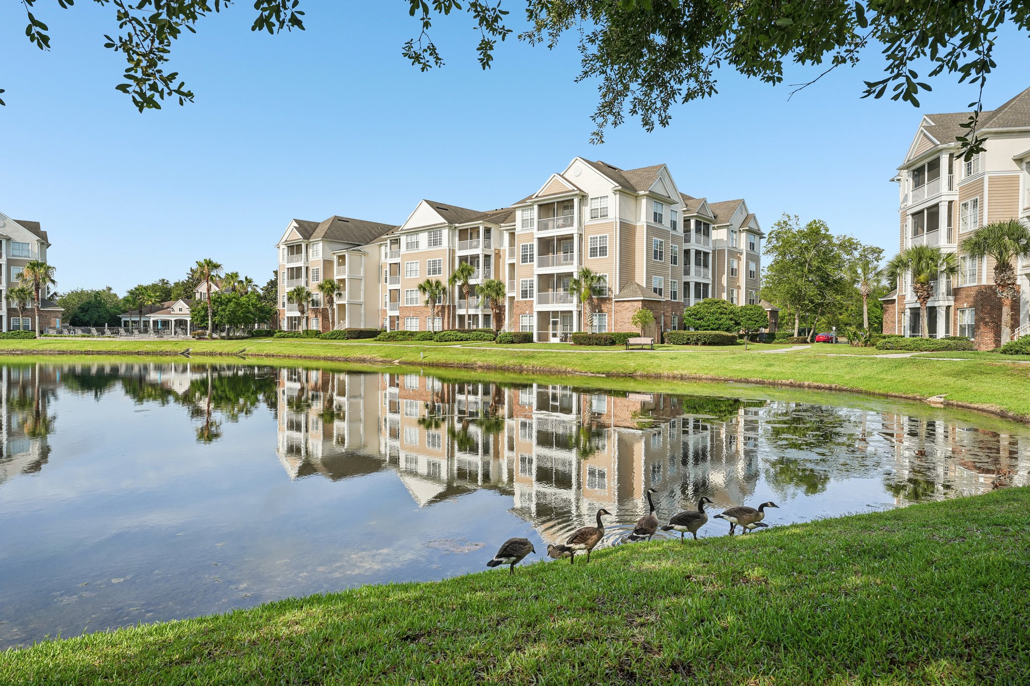 Campfield Dr 1304-S0306-035.jpg