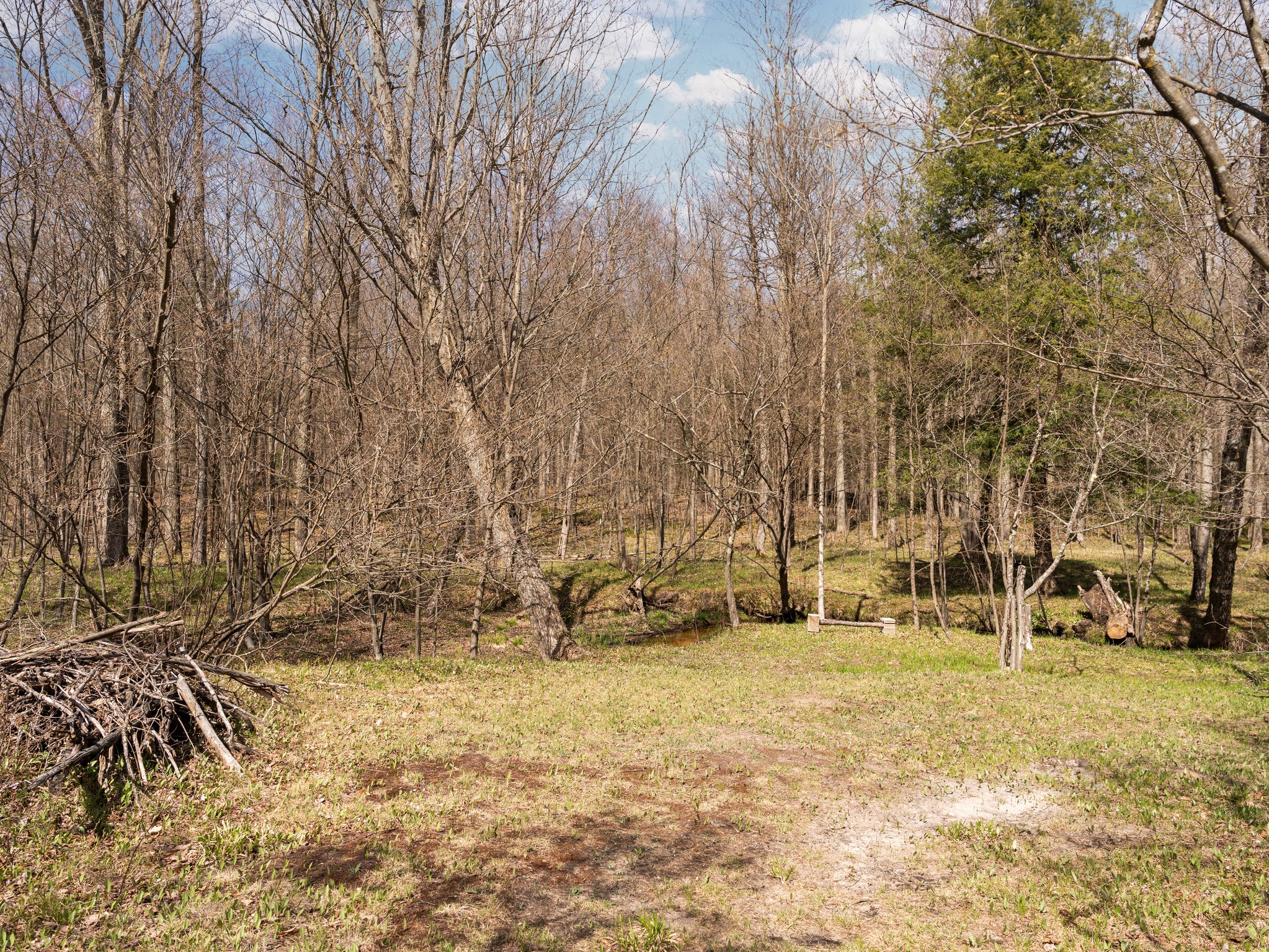  Photo 20