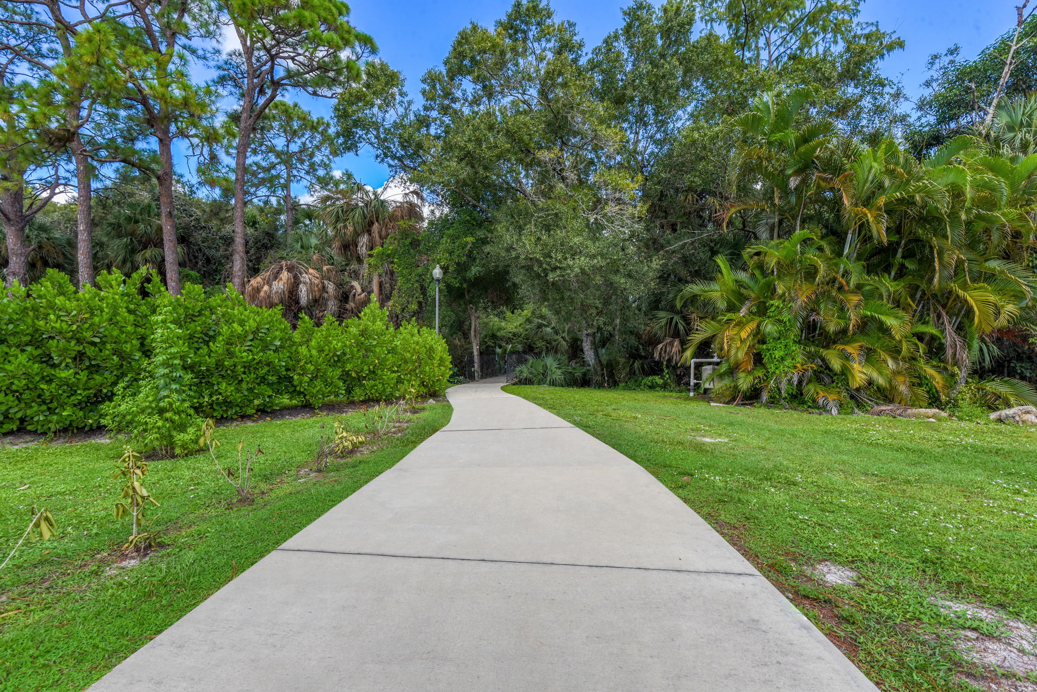 Walkway To Community Area