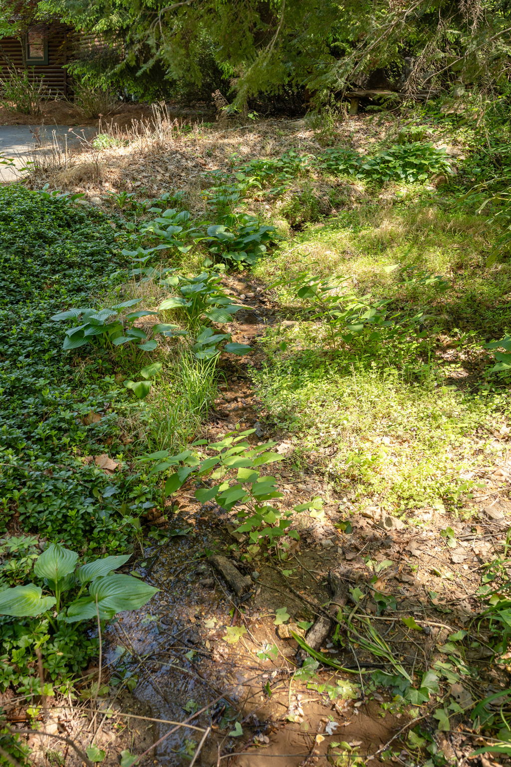  Photo 52