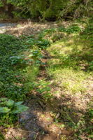 Photo 51