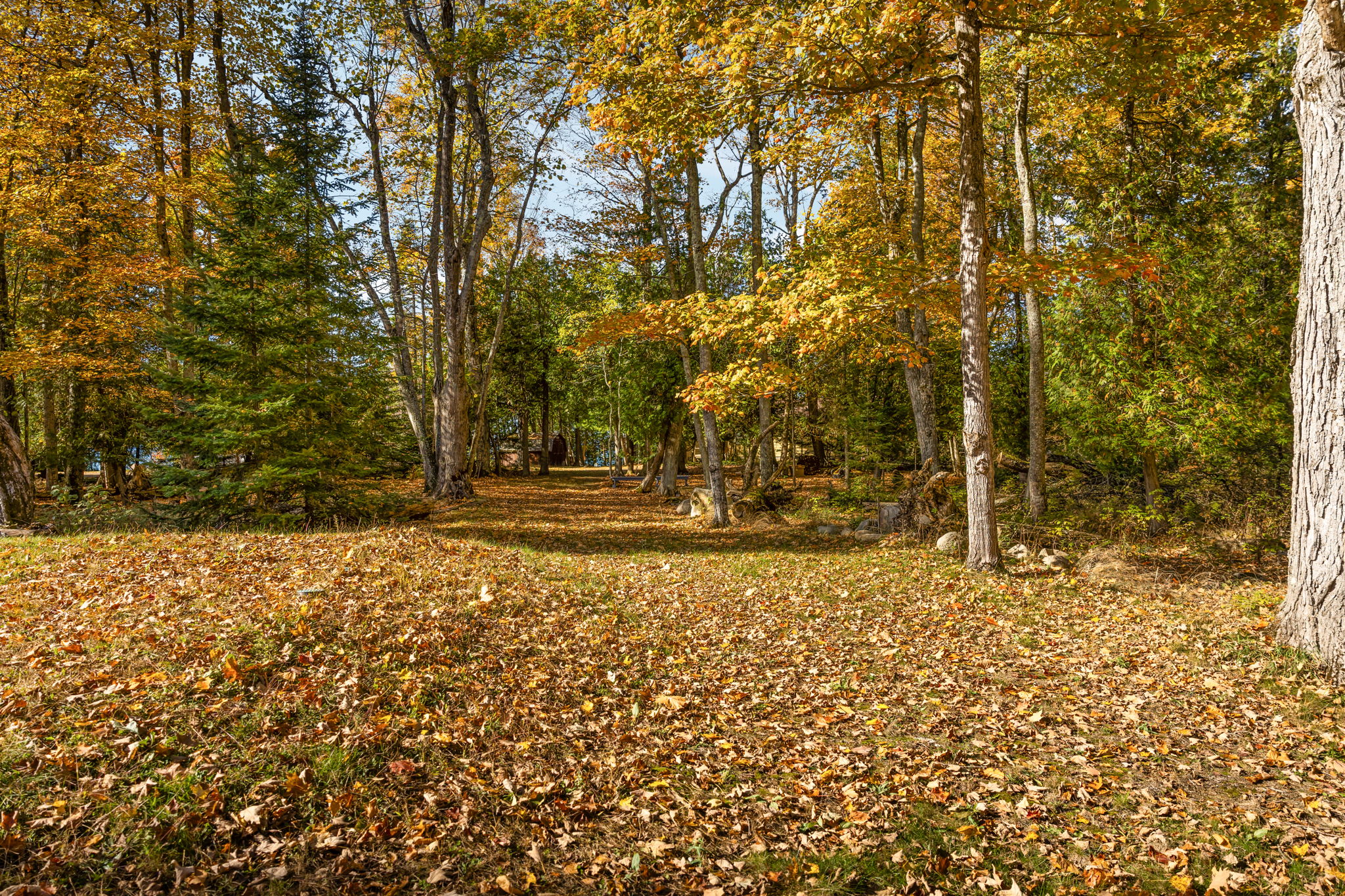  Photo 21