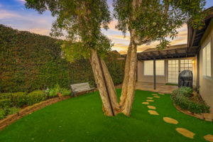 Pegasus Ave - VT-002