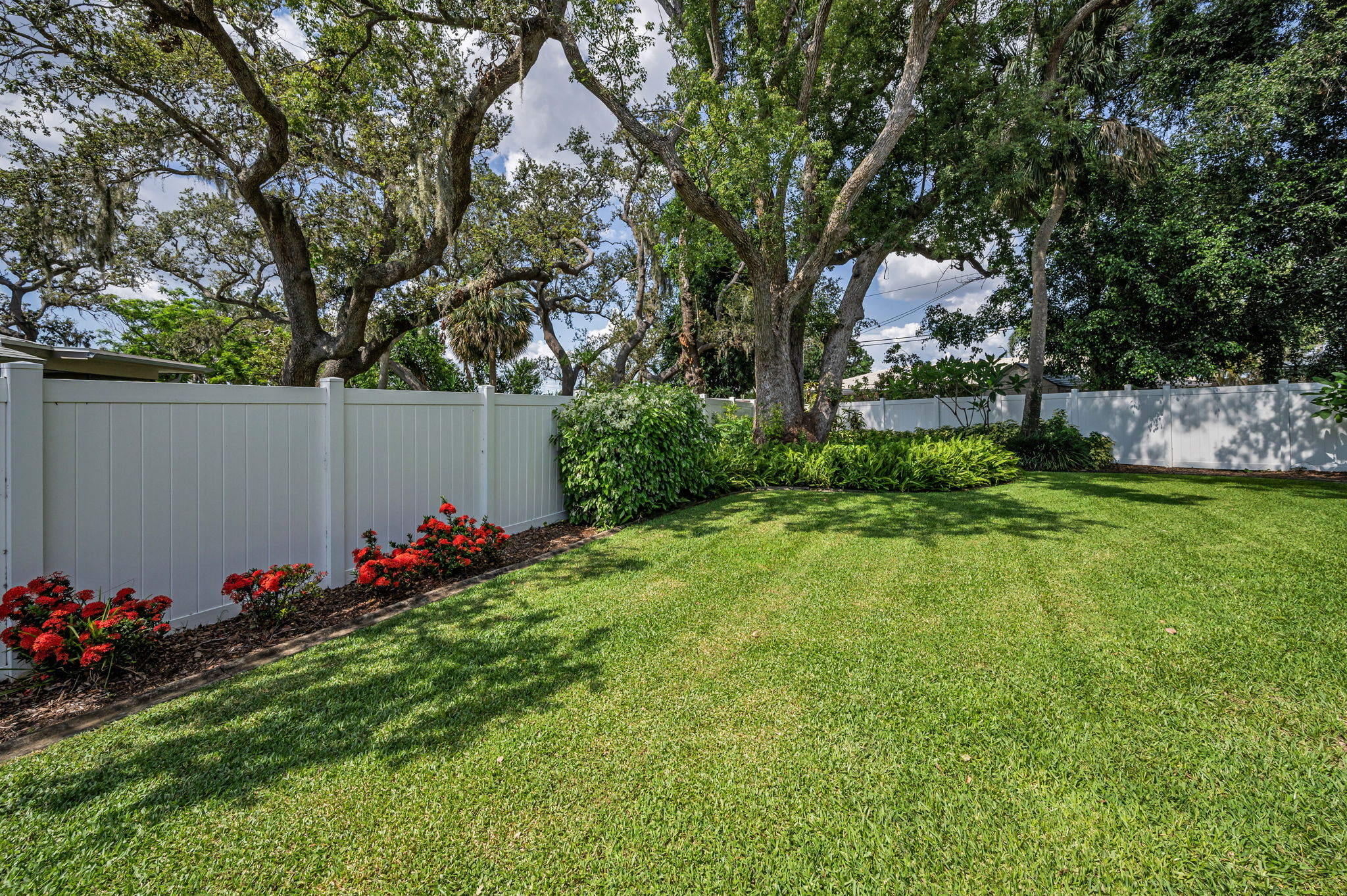 Backyard4